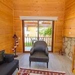 Anatolian Apartahotel 4*
